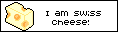 I am swiss cheese!